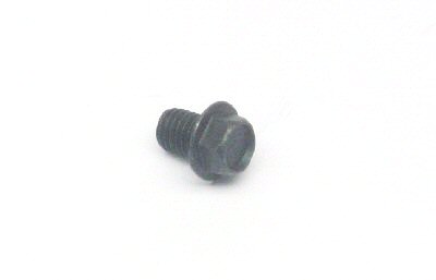 Crankcase Drain Plug